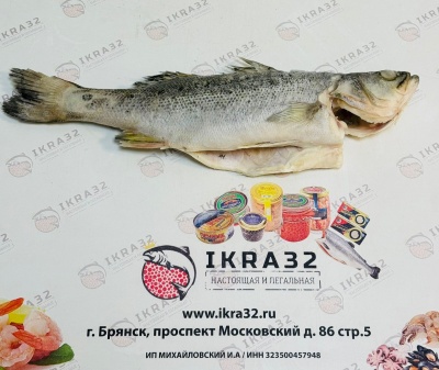 Окунь Сузуки ПСГ 350-450гр