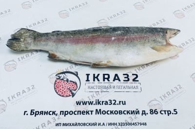 ФОРЕЛЬ ПБГ КРУПНАЯ 2.7 - 4 кг
